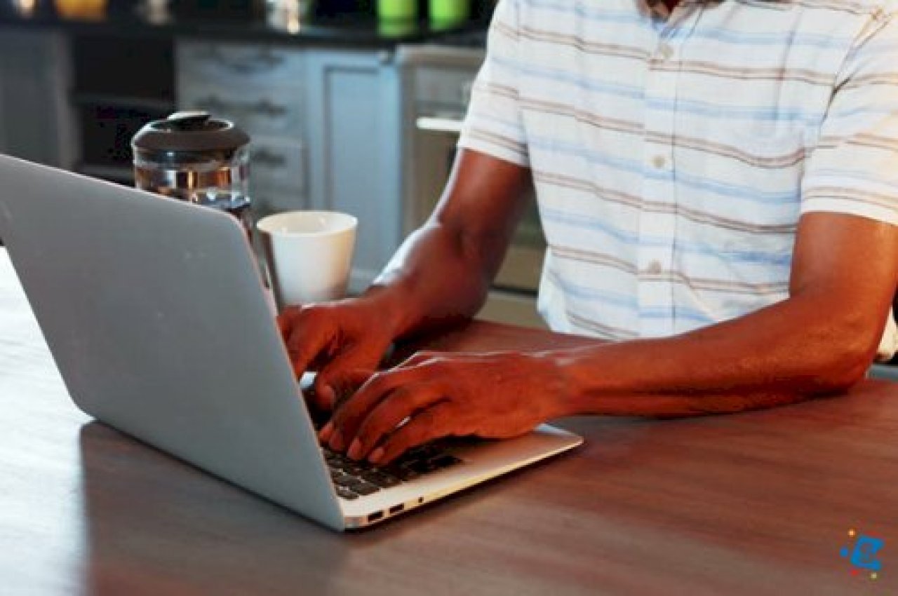 How to Get Rid of Ants in Laptops Before They Cause Further Damage.