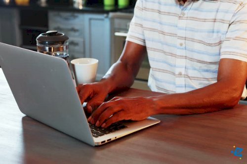 How to Get Rid of Ants in Laptops Before They Cause Further Damage.