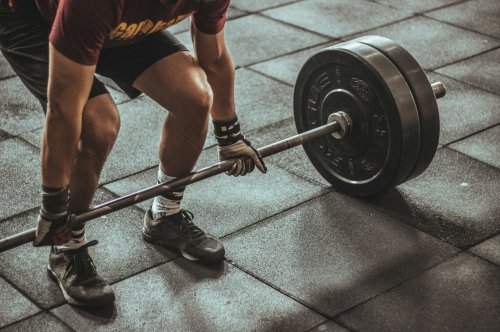 Look for the Best Gym Finds