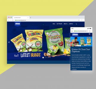 Professional Website development