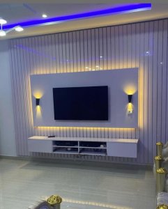 Beautiful Television Frame and Room Divider