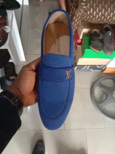 Louis Vuitton Suede Shoe