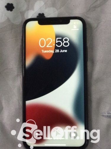 Black Apple iPhone X 256gb