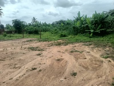1 Plot of Land For Sale at Odedina Street, Gbekuba, BCJ Apata, Ibadan. 1361.3sqm 5