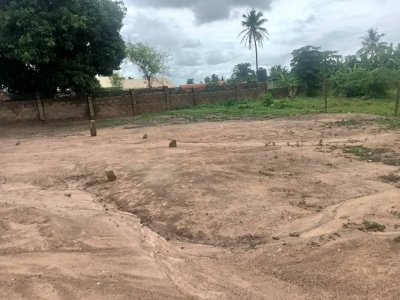 1 Plot of Land For Sale at Odedina Street, Gbekuba, BCJ Apata, Ibadan. 1361.3sqm