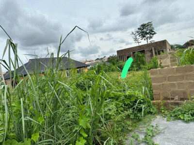 A commercial 2 plots of land for sale measuring 935sqm at Kuola