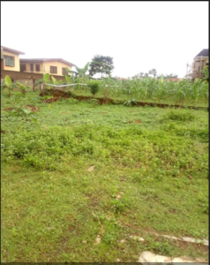 For sale: 2 plots of land at Badiru street Okusaga layout in Eleyele Ibadan (1200 SQM)