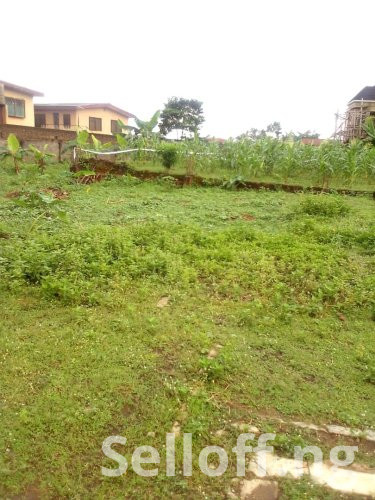 2plots of land for sale