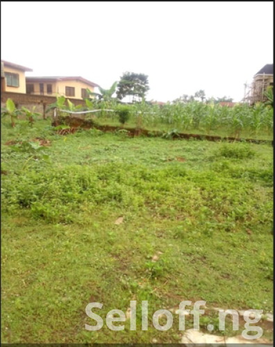 For sale: 2 plots of land at Badiru street Okusaga layout in Eleyele Ibadan (1200 SQM)