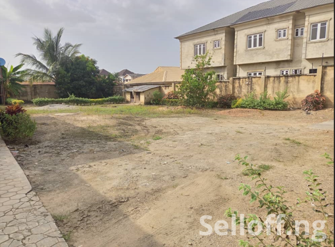 DIRECT BRIEF: Urgent Sales: A cutout 500sqm (a plot) of Land available for sale