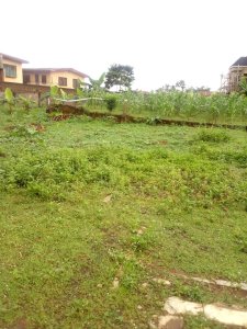 6 plots of land available for sale