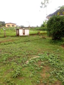 FOR SALE: 6plots of land