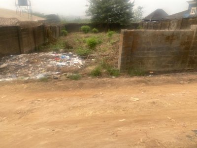 FOR SALE: A standard plot of land