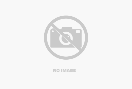 Samsung A02 (3GB RAM, 64GB ROM)