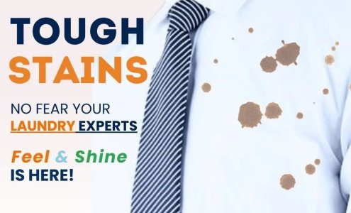 Fabrics stains remover