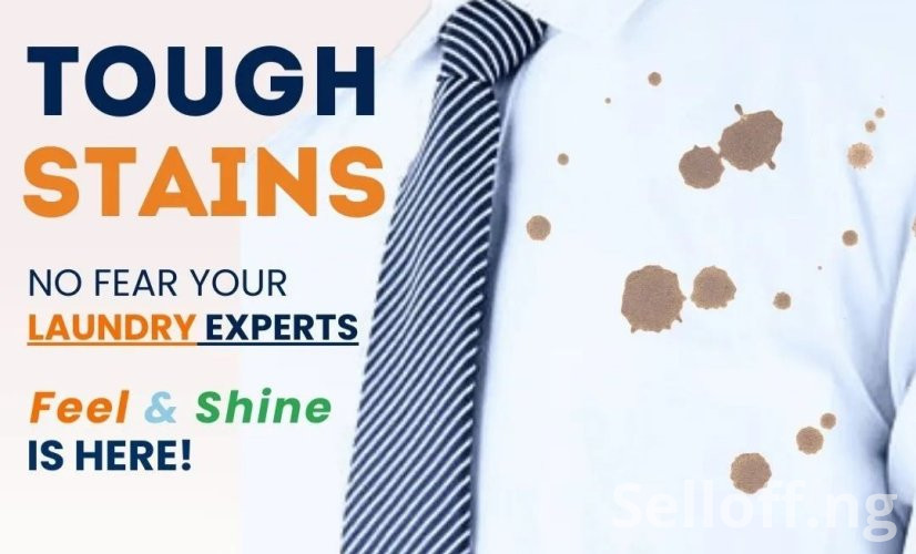 Fabrics stains remover