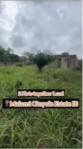 Urgent Sale! Almost 2 plots of land