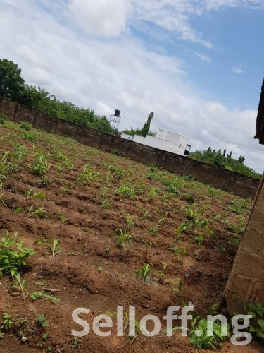 FOR SALE: DIRECT CLOSEABLE DEAL  FENCED & GATED RESIDENTIAL LAND.