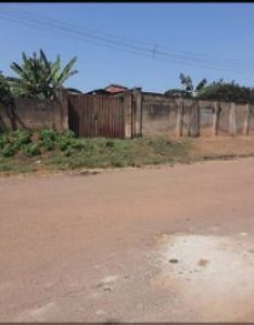 Urgent Sales:  1100sqm ( 2 Plots) of land