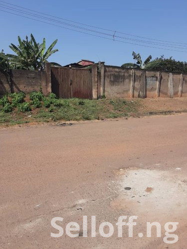 Urgent Sales: 1100sqm (2plots of land )