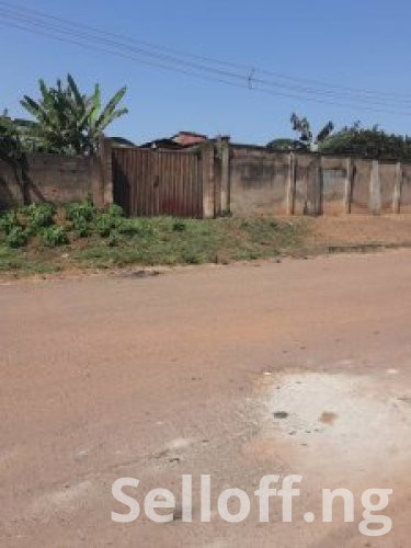 Urgent Sales: 1100sqm (2plots of land )