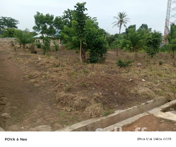 For Sale: Two standard plots of Land, each measuring 1,250 sqm²