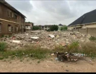 For Sale: Standard 2 plots of land