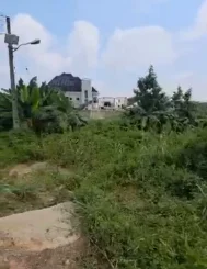 1231 Sqm of land available for sale.