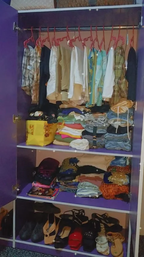 Wardrobe & Bag rack