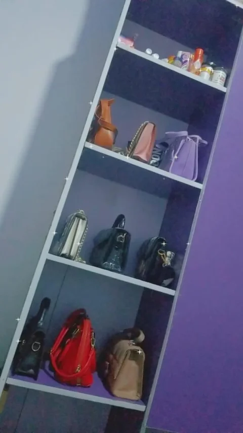 Wardrobe & Bag rack