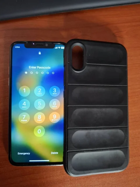 Apple Iphone X (user owned)