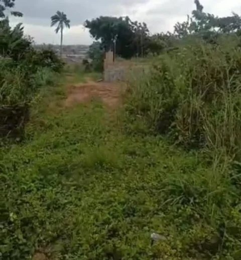 For Sale: 683 Square meters plots of Land available for sale.