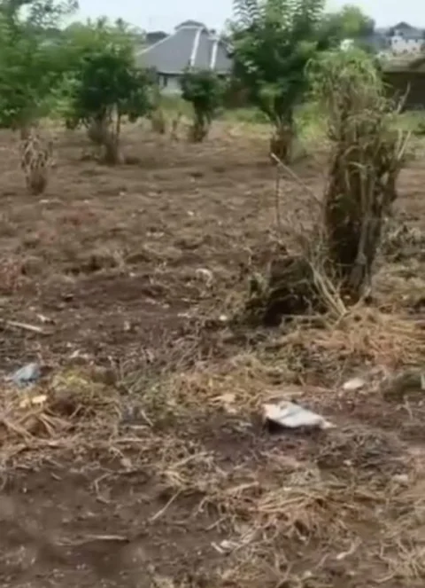 For Sale: 2 Standard plots of land