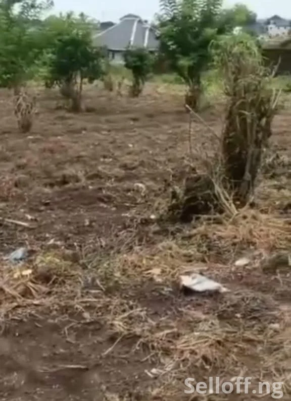 For Sale: 2 Standard plots of land