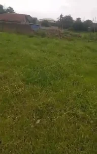 For Sale: Standard 2 and half plot of land 3