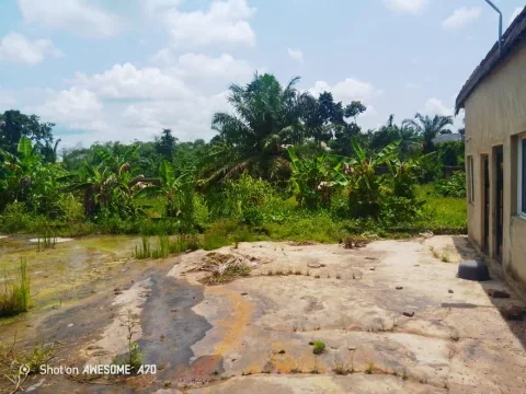 For Sale:  A fish farm land with 6 ponds
