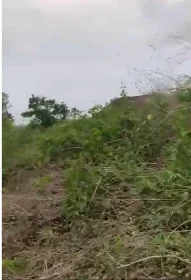 Plots of land for sale