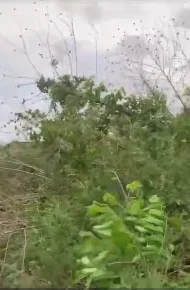 Plots of land for sale