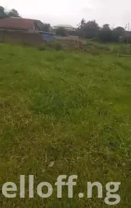 For Sale: Standard 2 and half plot of land