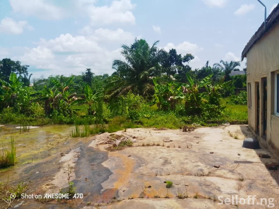 For Sale:  A fish farm land with 6 ponds