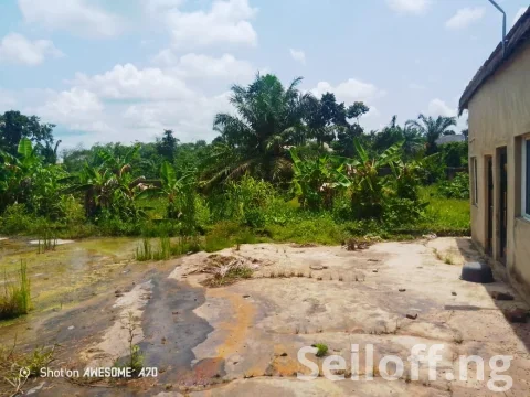 For Sale:  A fish farm land with 6 ponds