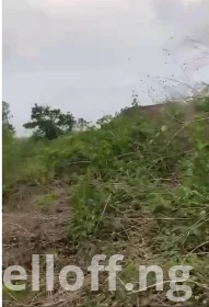 Plots of land for sale