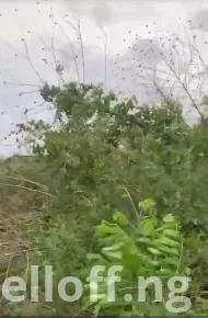 Plots of land for sale