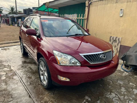 2009 RX 350 10