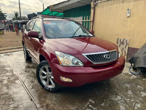 2009 RX 350 9