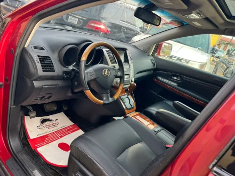 2009 RX 350 3