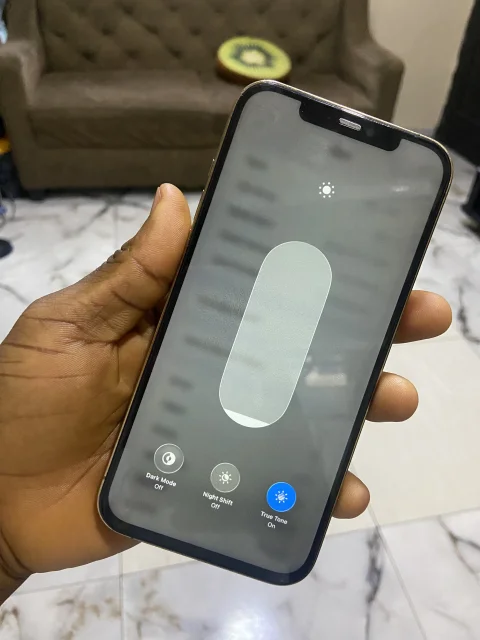 iphone 12pro max no face id