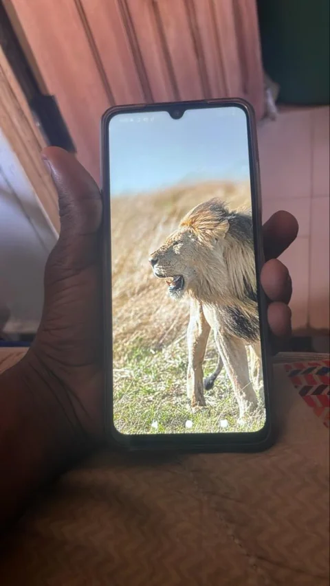 Xiaomi poco C71