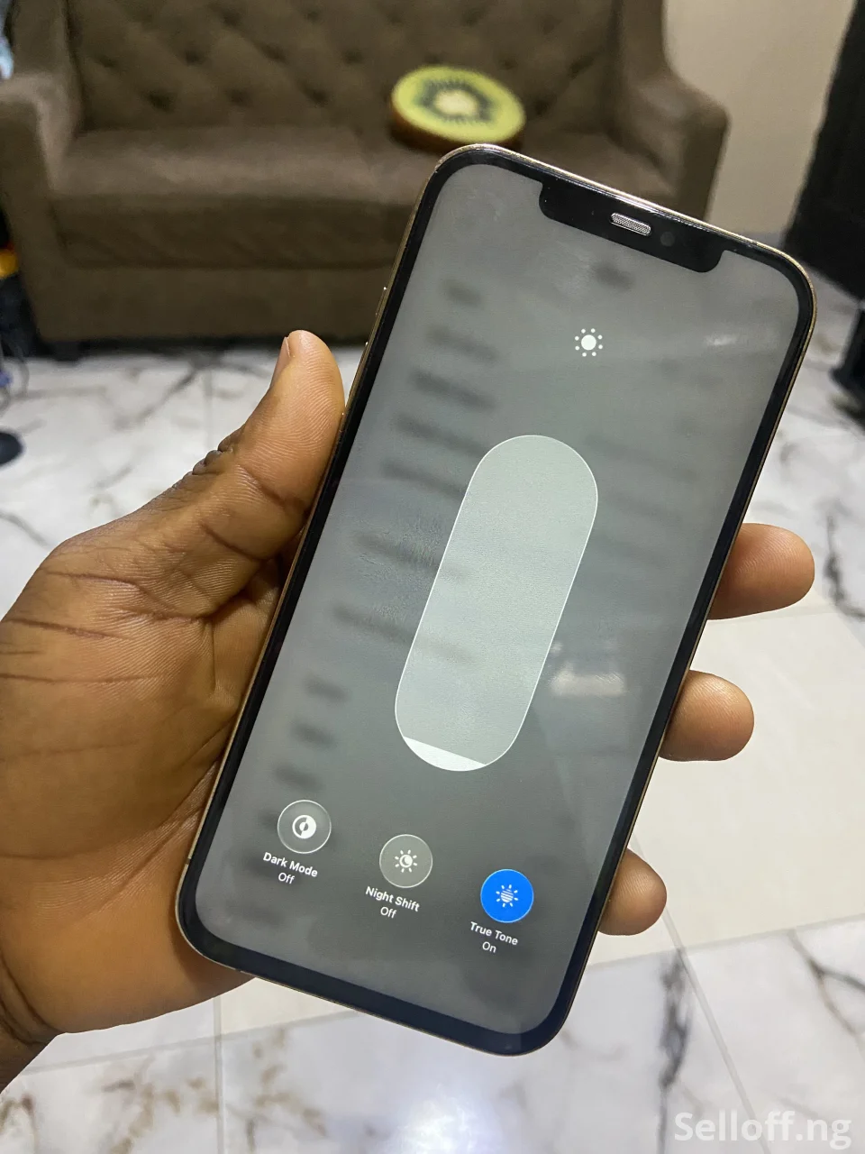 iphone 12pro max no face id