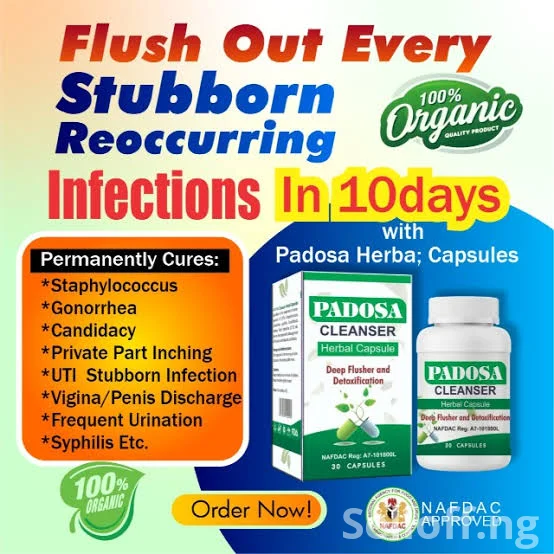 PADOSA HERBAL CAPSULE (Flush Out All Kind of Infections)